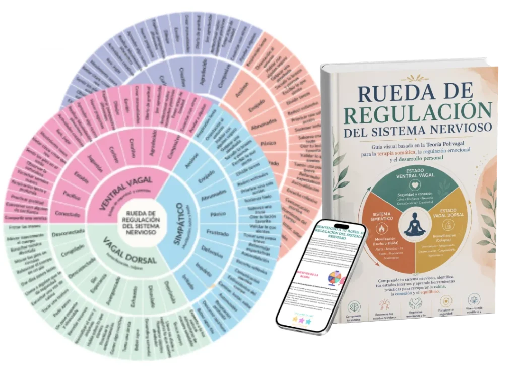 Rueda de Regulación del Sistema Nervioso impresa y en pantalla